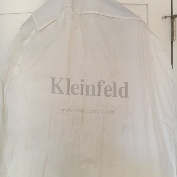 Wedding dress / Michelle Roth / Kleinfelds - Picture 8 of 8